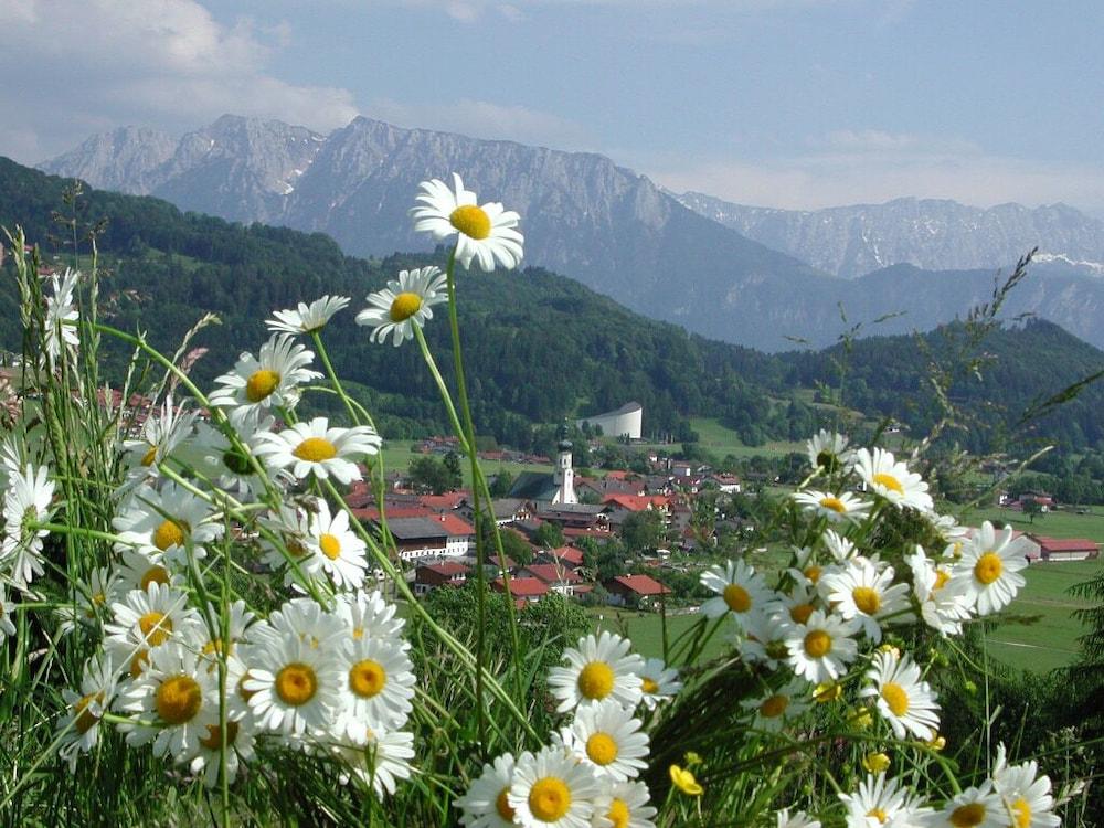 Hotel & Gasthaus Dresch Эрль Экстерьер фото
